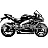 Kawasaki ZX 10R 2021