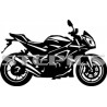 Aprilia Tuono V4 R APRC