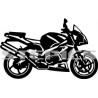 Aprilia RSV 1000 R Tuono 2003