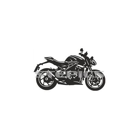 Triumph Speed triple 1200 RS