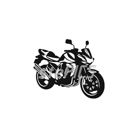 Kawasaki Z 1000