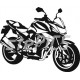 Kawasaki Z 1000 2008