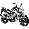 Kawasaki Z 1000 2008