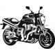 Yamaha MT 01
