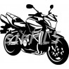 Suzuki B-King