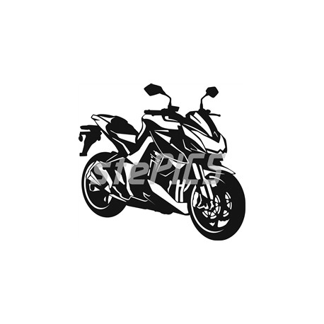 Kawasaki Z 1000 2010