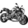 Benelli TNT 899
