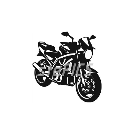 Suzuki SV 1000 N