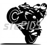 Kawasaki Z 1000 rider