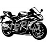 Kawasaki ZX 6R Ninja 2009