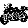 Aprilia RSV 1000 Mille 2001