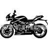 Triumph 675 Speed triple 2013
