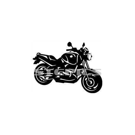 BMW R1100 R