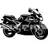 Yamaha FZR 1000 exup