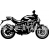 Ducati Monster 821 2020