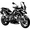 Triumph Tiger 900 GT Pro